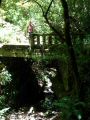 Madeira0790.JPG